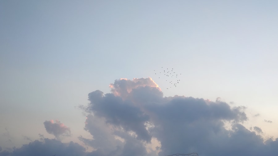Photo Migrate to Oracle ERP Cloud